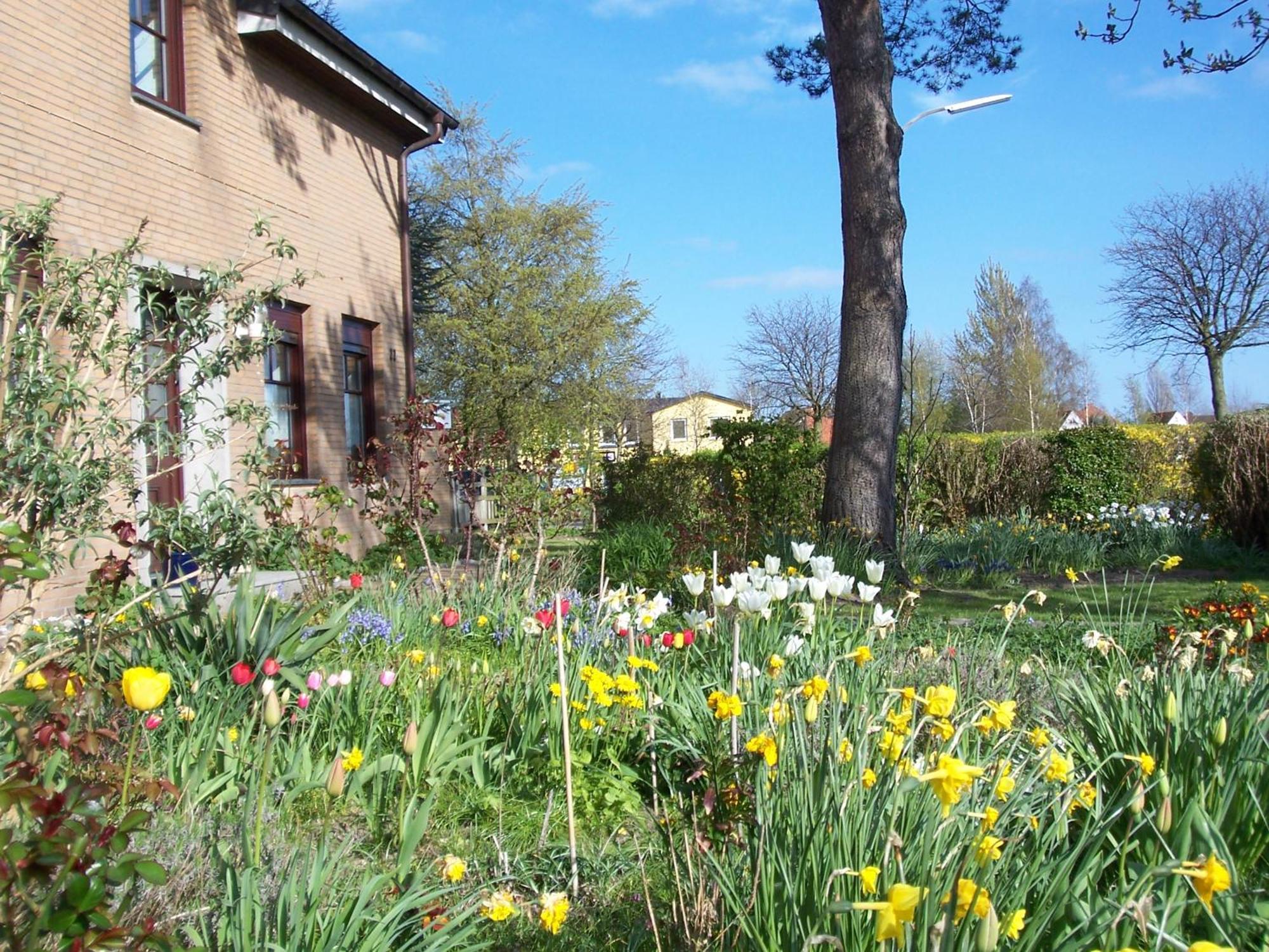 Villa Kronsteert Даме Екстериор снимка